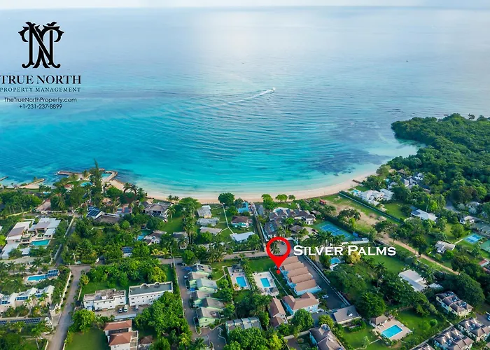 Silver Palms Charming 1br Retreat Private Pool Apartment Ocho Rios